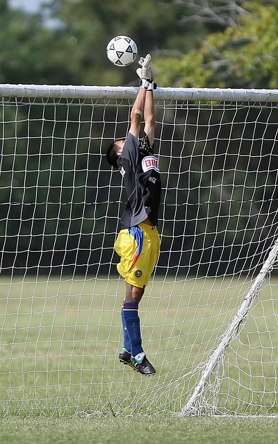 的类似情况 的类似情况