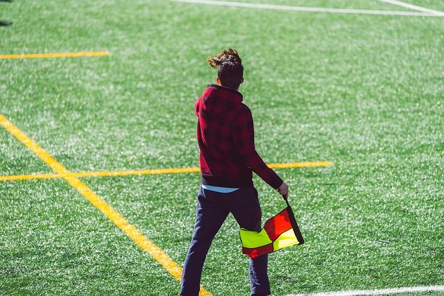 绝妙的世界 绝妙的世界