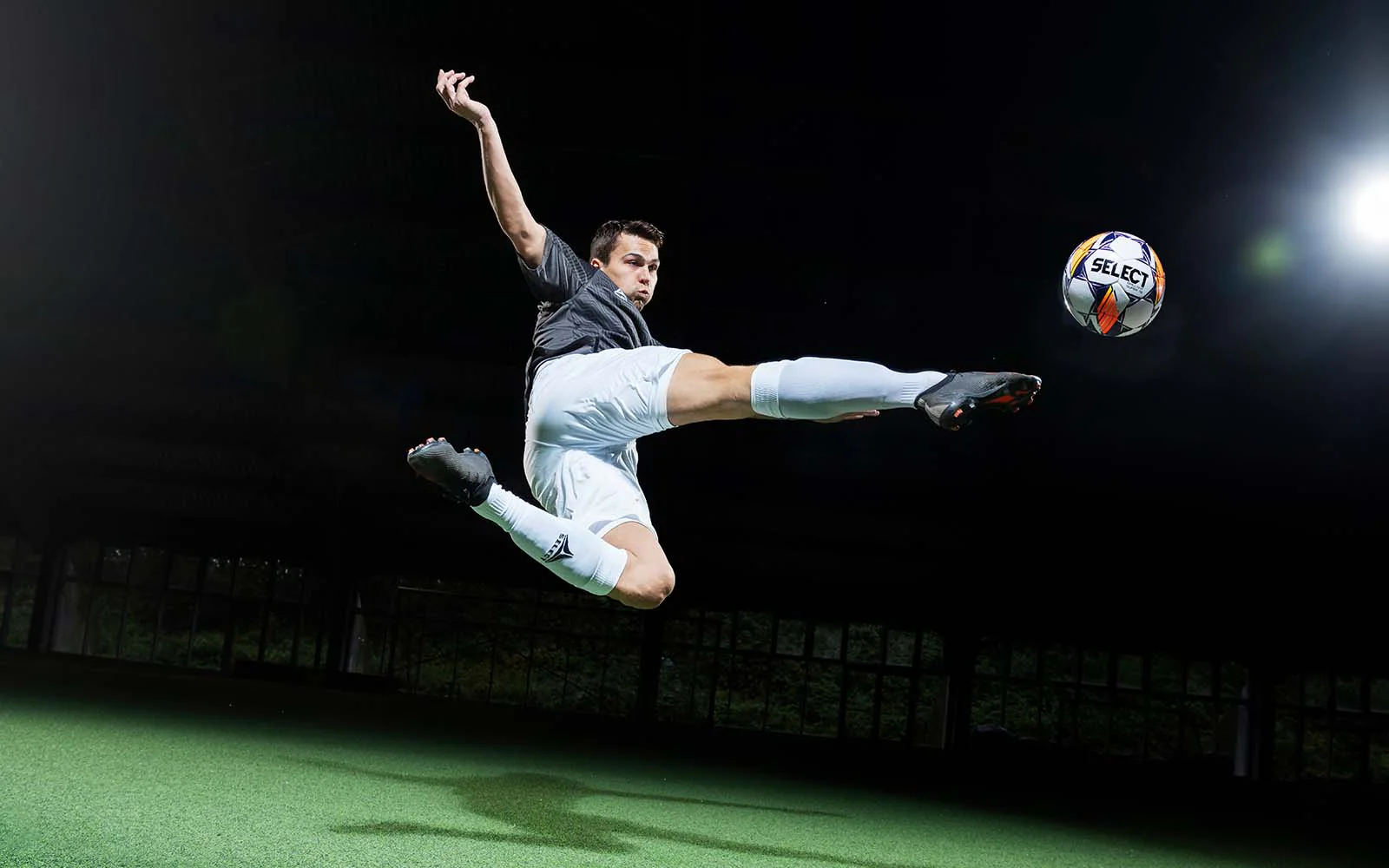 主导地位 主导地位