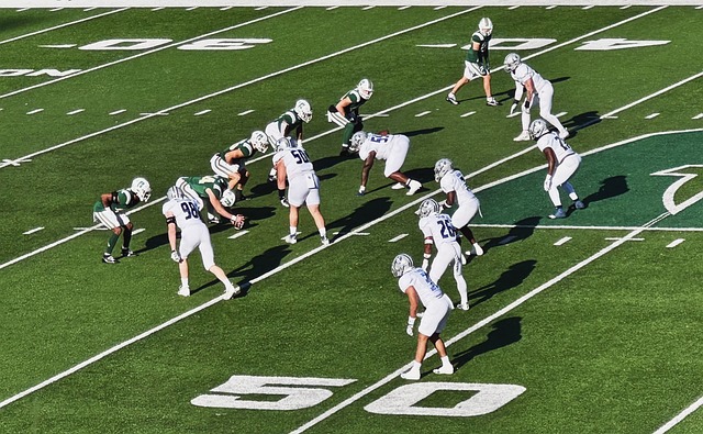 全红婵继续 全红婵继续